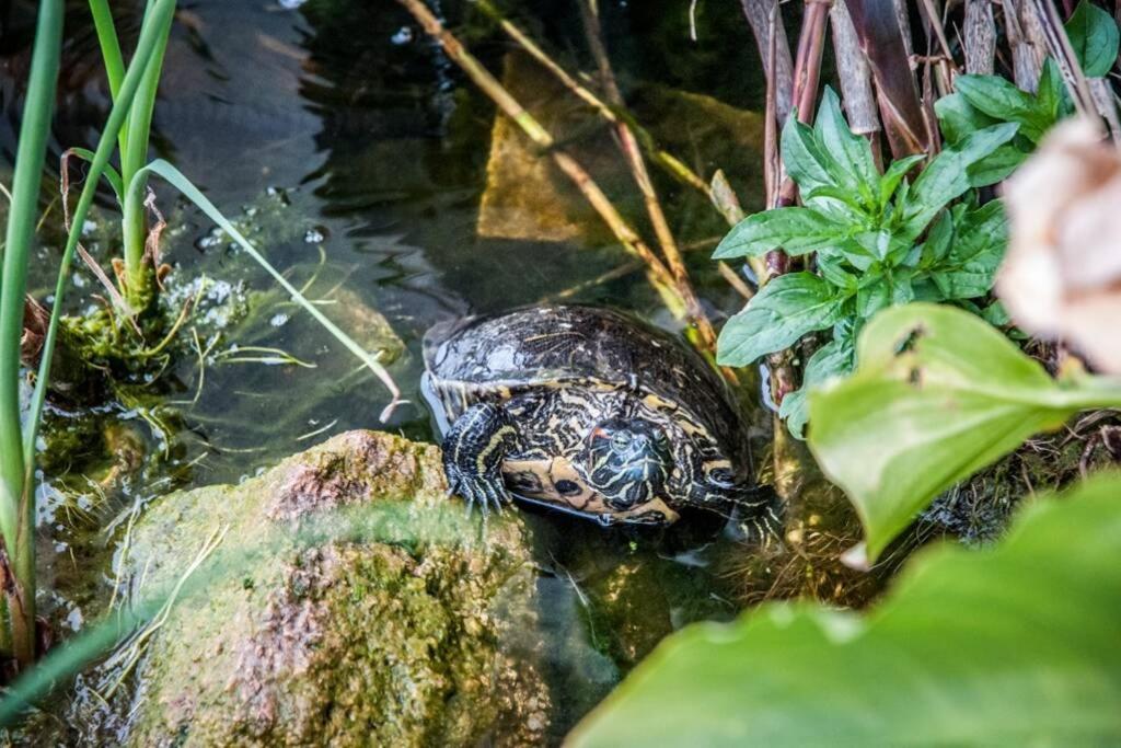 La Cuppulata - Stile Classico Enas Zewnętrze zdjęcie